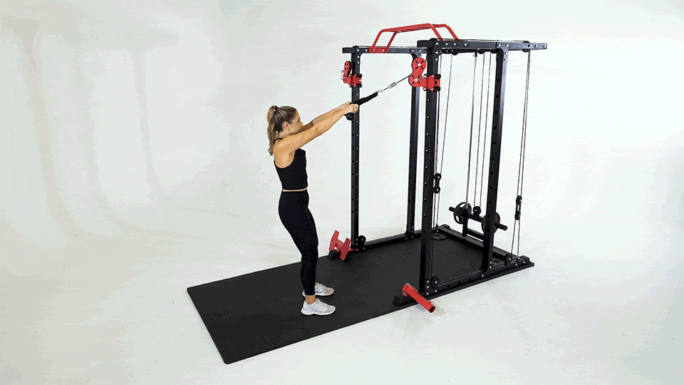 Face pull en polea